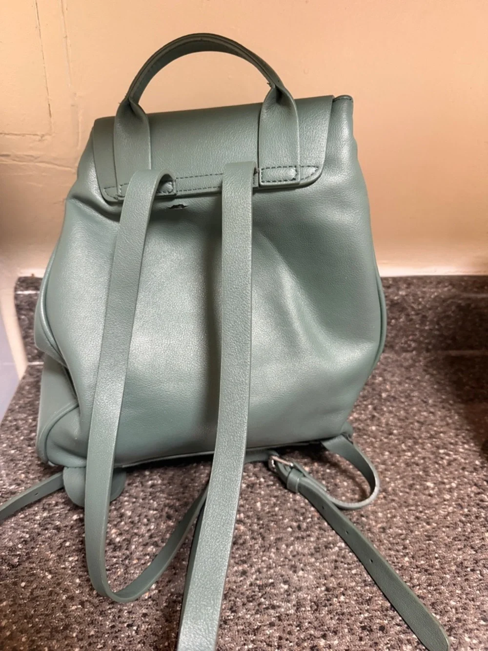 Liapiaf Structured Flap Drawstring Backpack in Sage Green